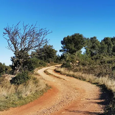 Beautiful In Peaceful Rural Setting
